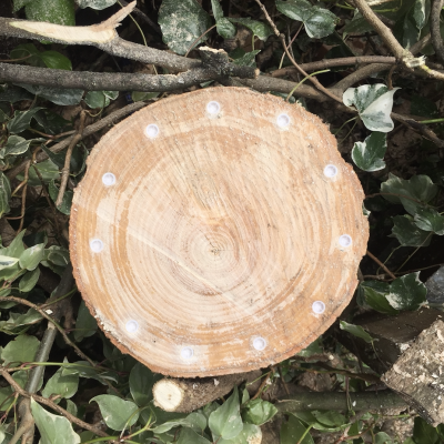 Eco Plugged tree stem