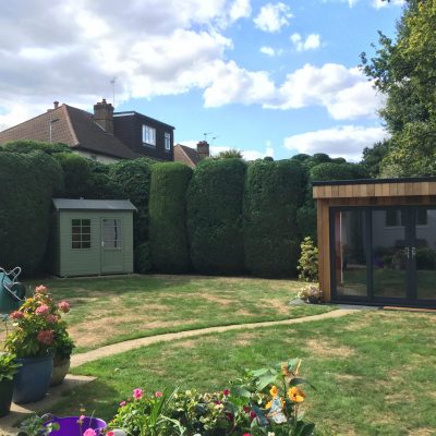 Hedge trimming(after)