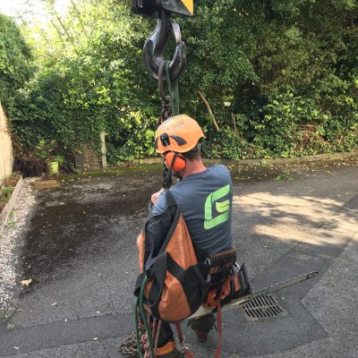 Mobile crane dead ash1