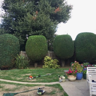 Topiary